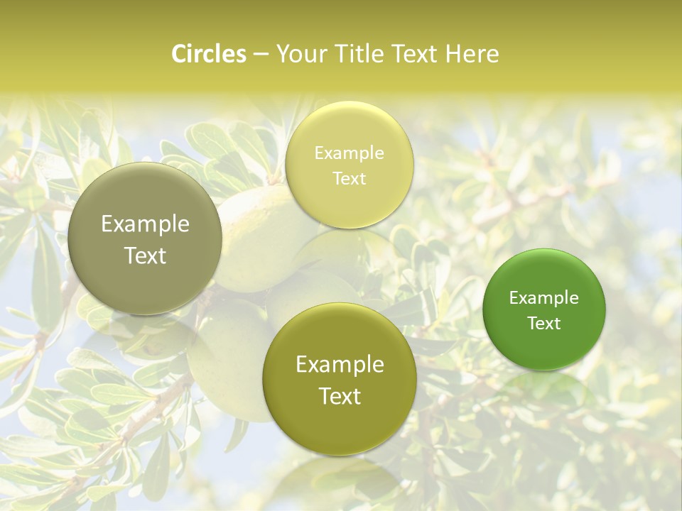 Seed Branch Green PowerPoint Template