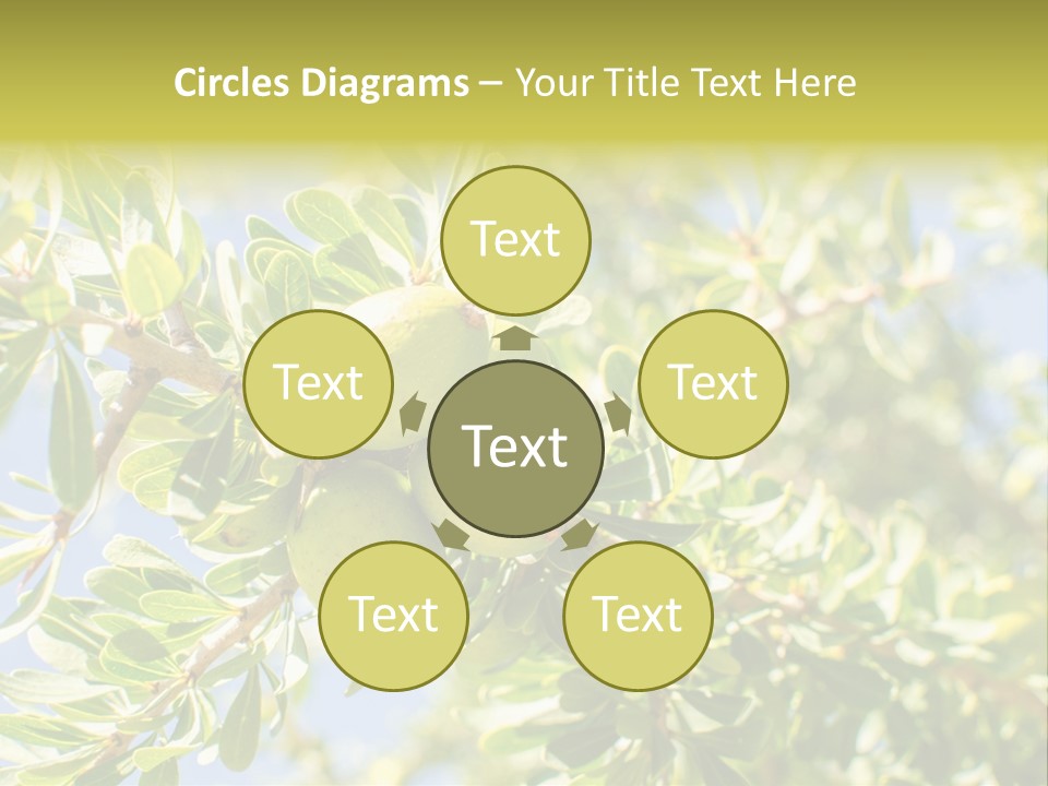 Seed Branch Green PowerPoint Template