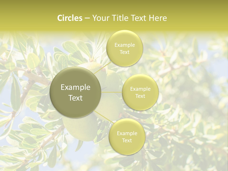 Seed Branch Green PowerPoint Template