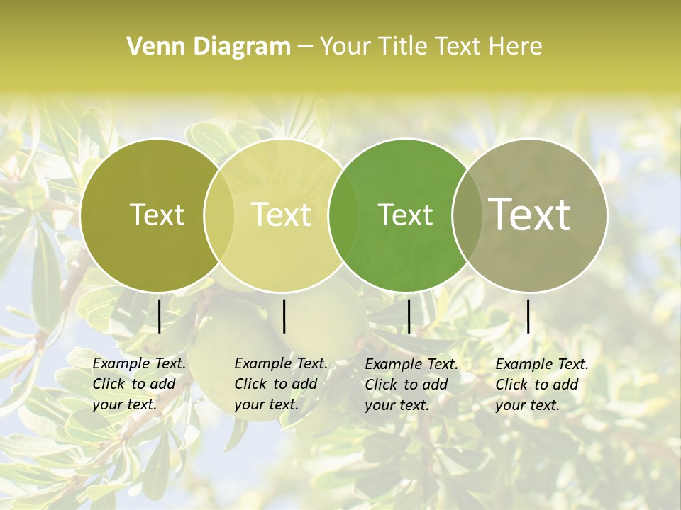 Seed Branch Green PowerPoint Template