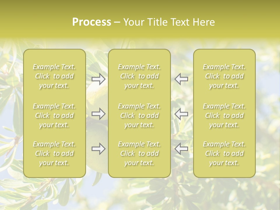 Seed Branch Green PowerPoint Template