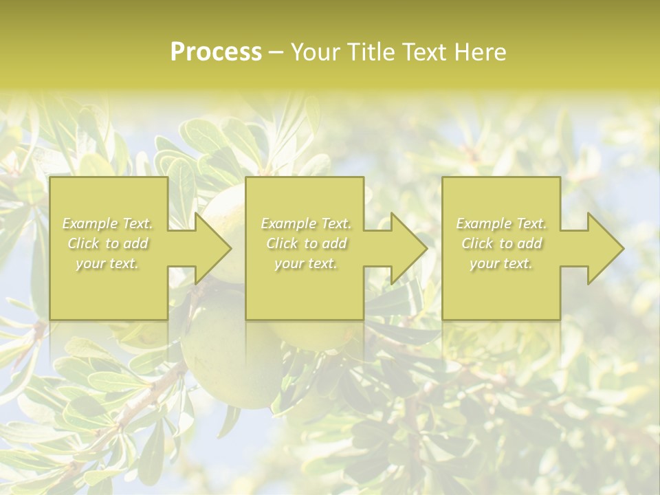Seed Branch Green PowerPoint Template