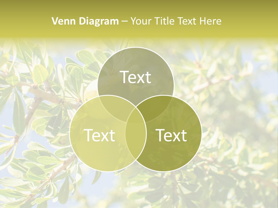 Seed Branch Green PowerPoint Template