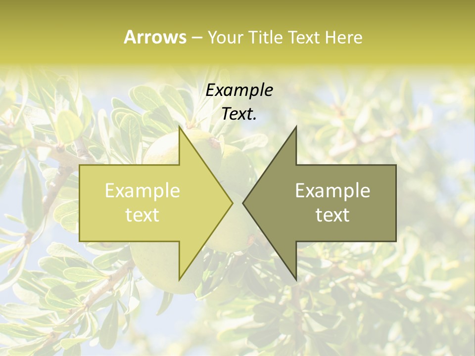 Seed Branch Green PowerPoint Template