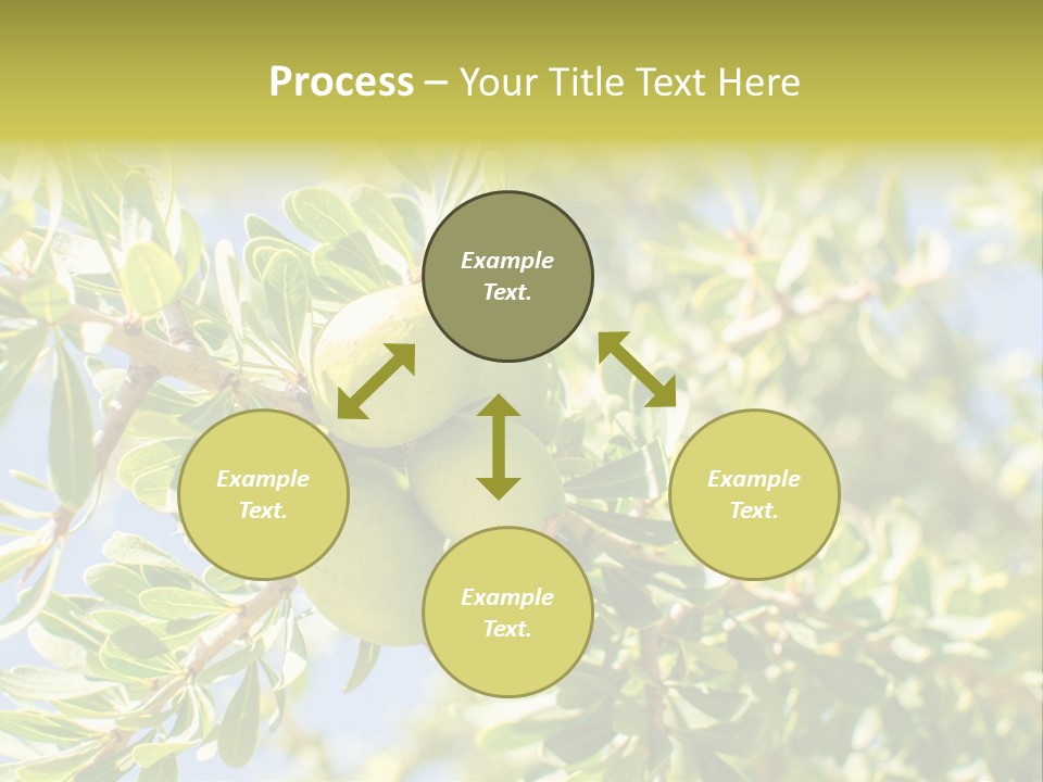 Seed Branch Green PowerPoint Template