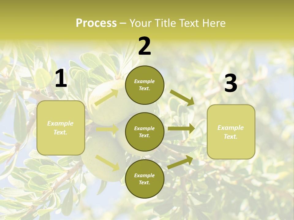 Seed Branch Green PowerPoint Template