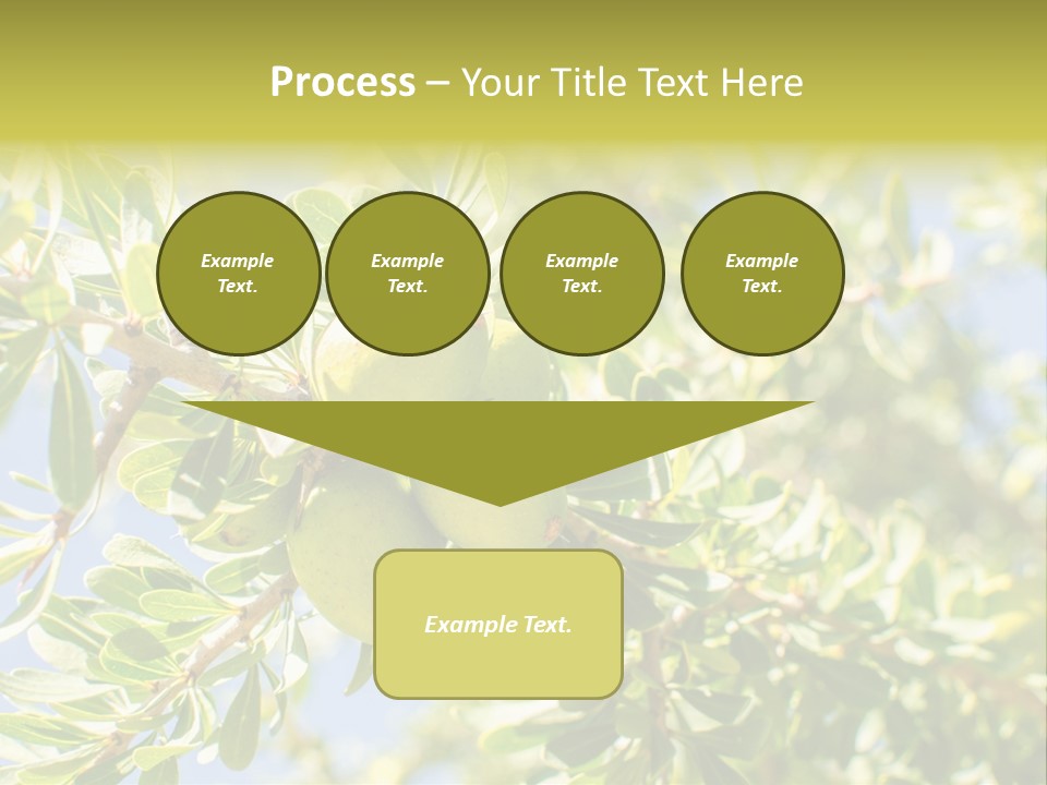 Seed Branch Green PowerPoint Template