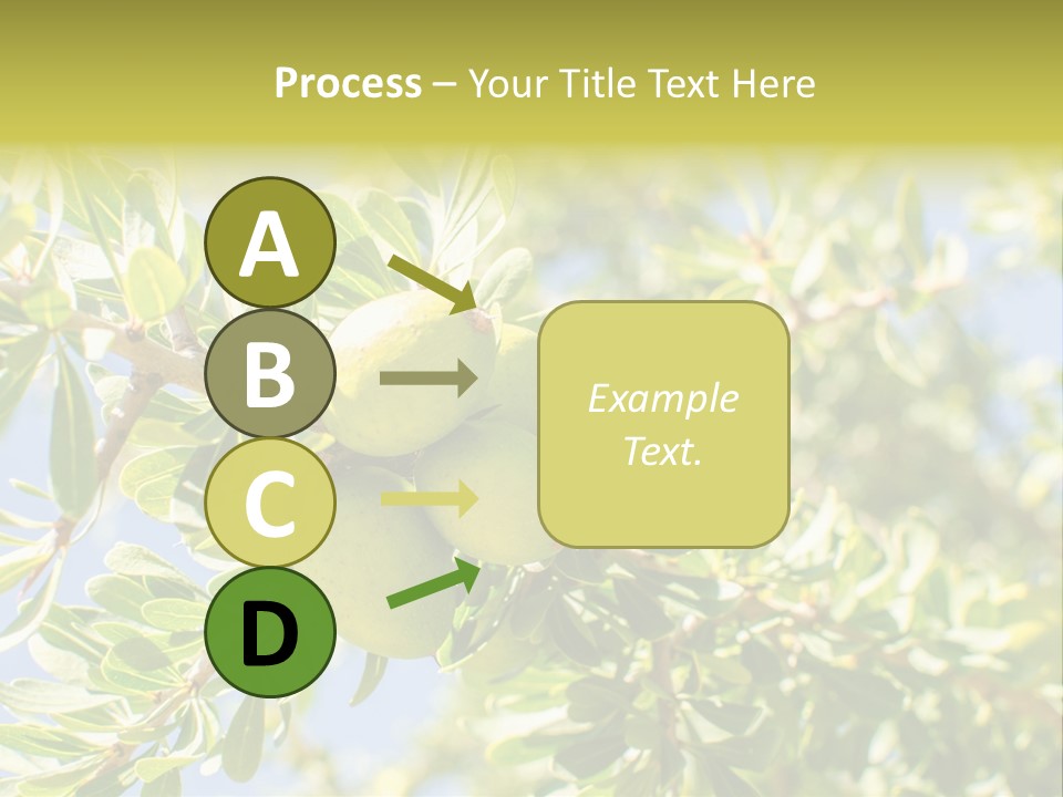 Seed Branch Green PowerPoint Template
