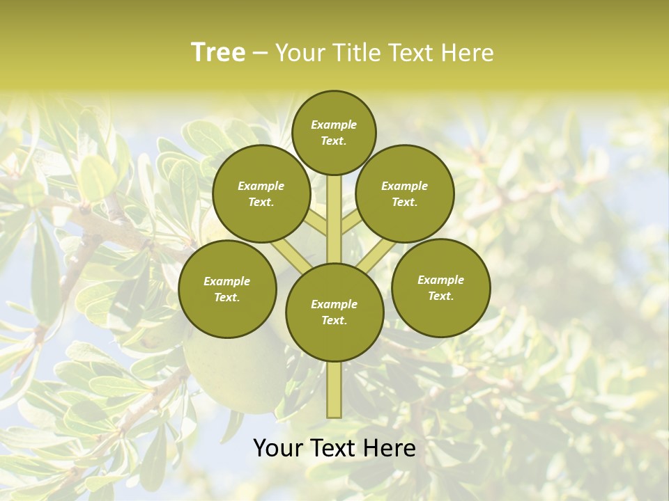 Seed Branch Green PowerPoint Template