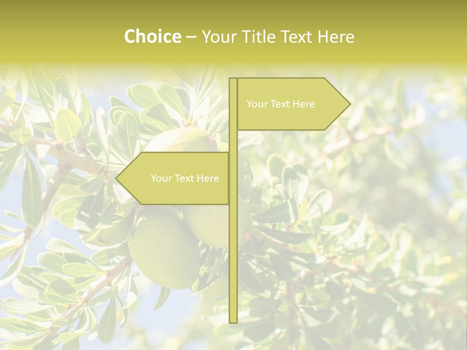 Seed Branch Green PowerPoint Template