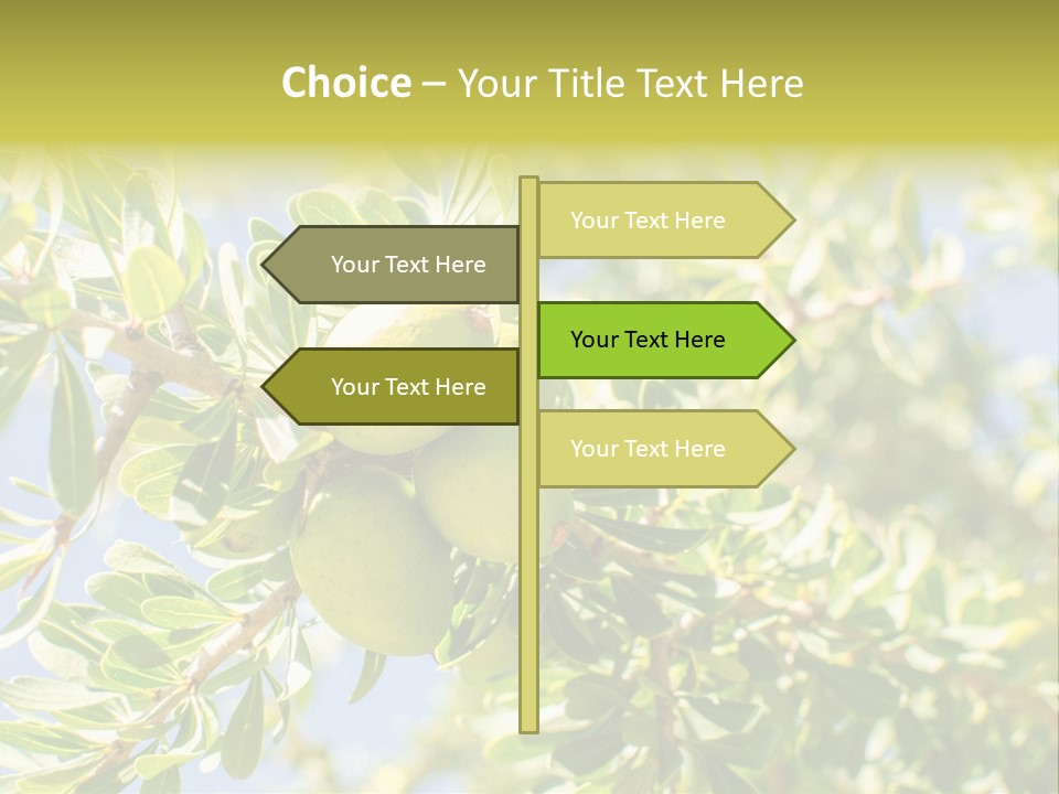 Seed Branch Green PowerPoint Template