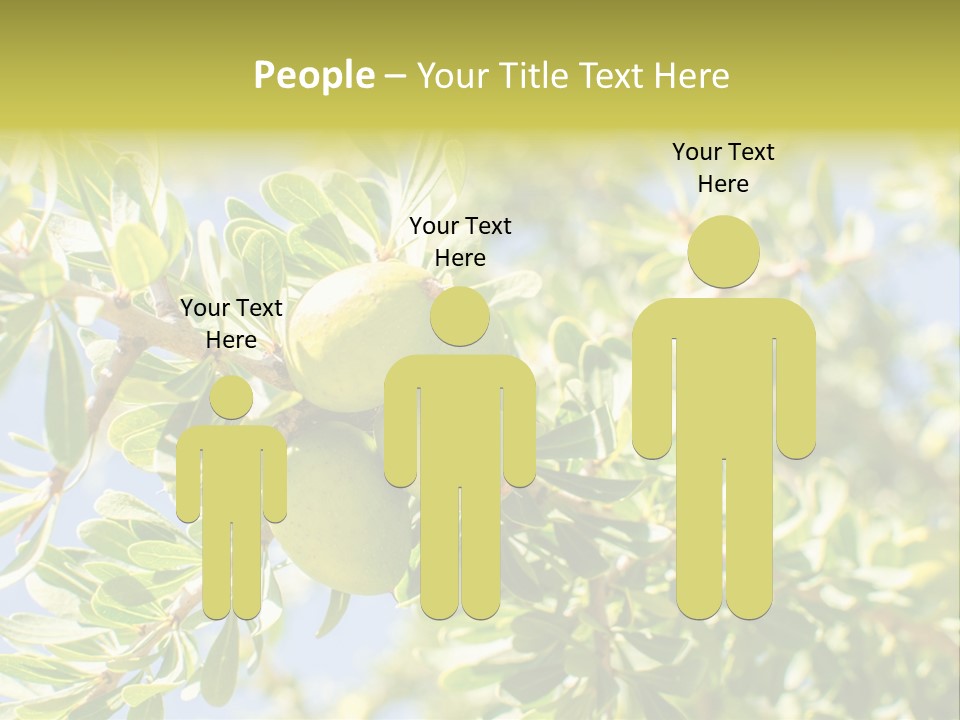 Seed Branch Green PowerPoint Template