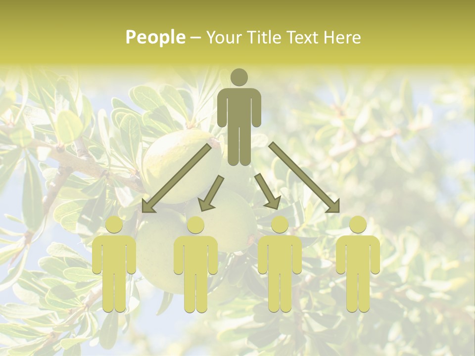 Seed Branch Green PowerPoint Template