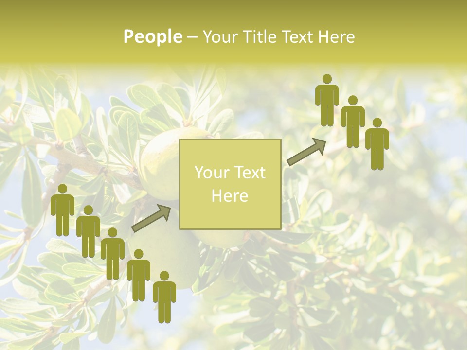 Seed Branch Green PowerPoint Template