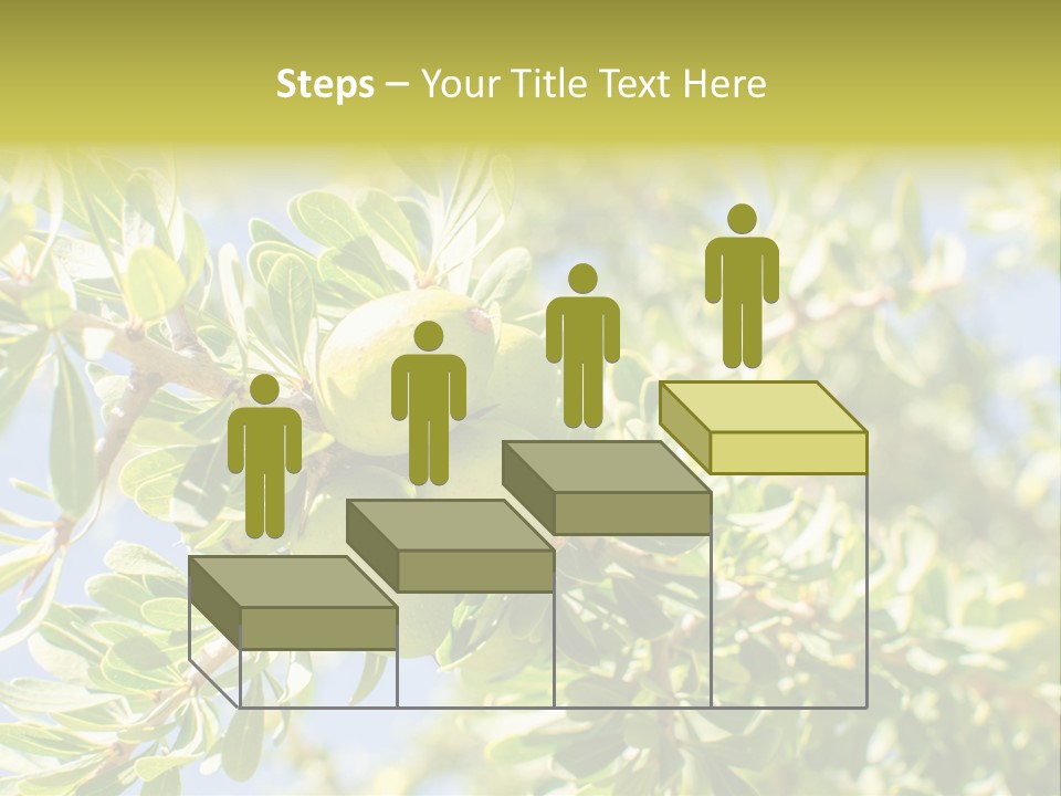 Seed Branch Green PowerPoint Template
