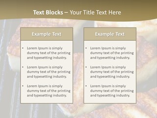 Grilling Saganaki Food PowerPoint Template