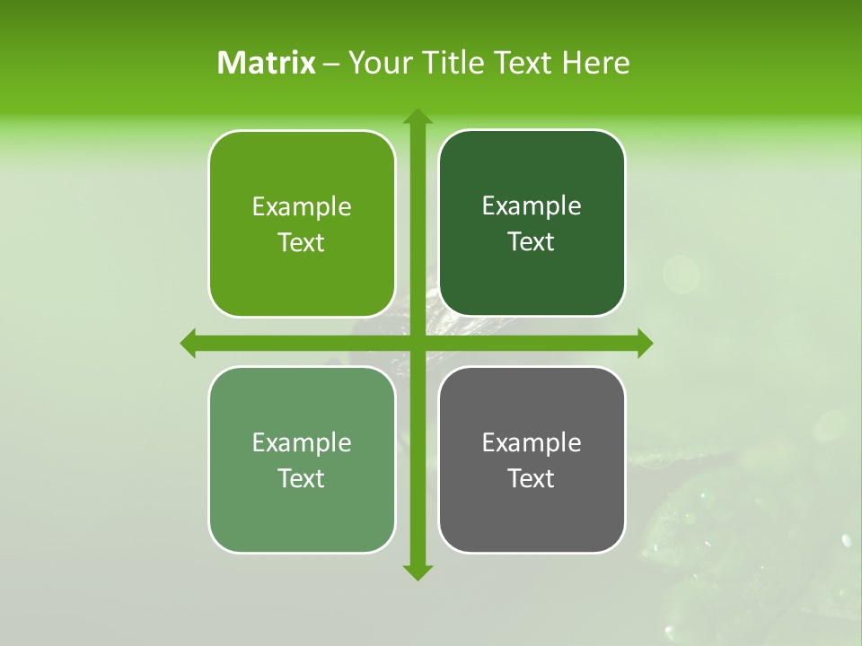 Wildlife Sawflies Animals PowerPoint Template