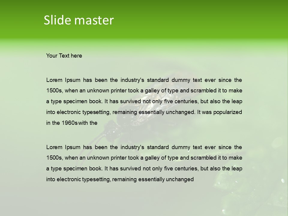 Wildlife Sawflies Animals PowerPoint Template