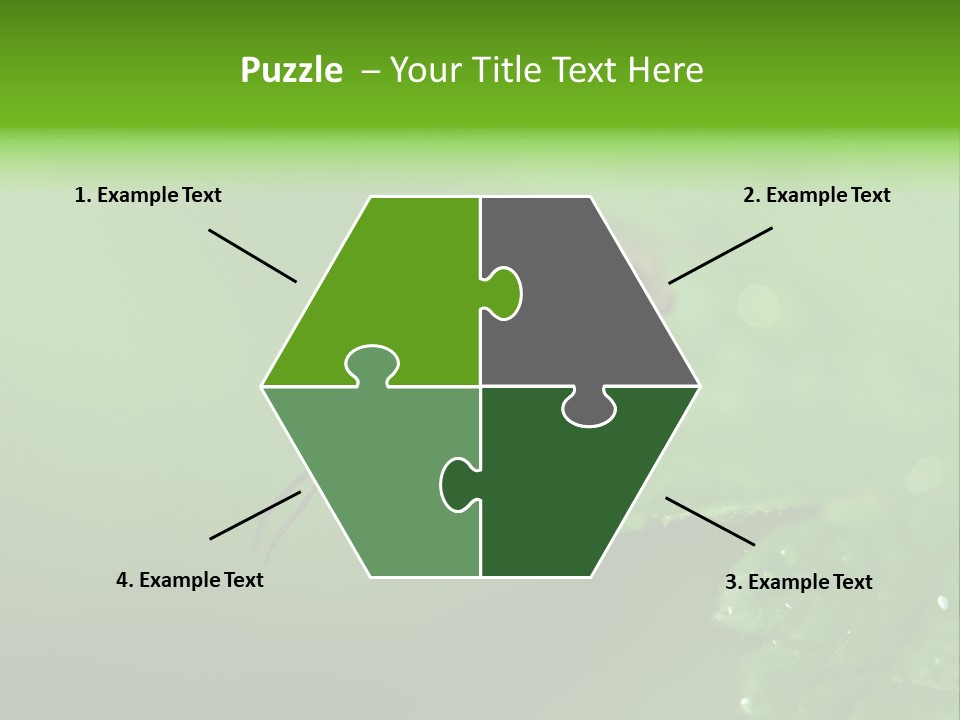 Wildlife Sawflies Animals PowerPoint Template