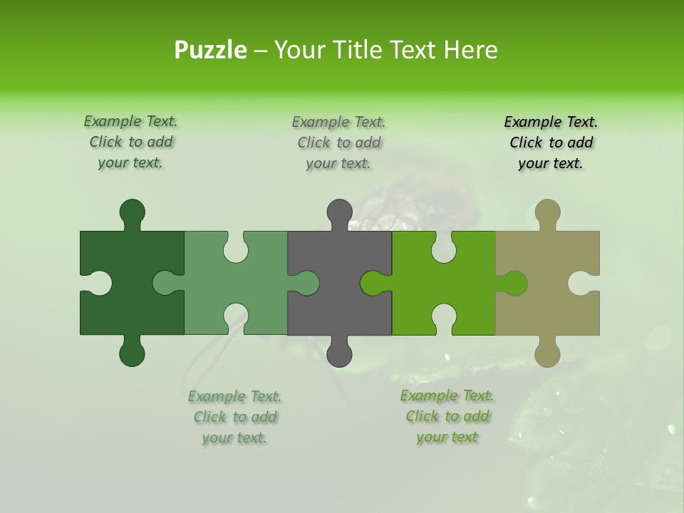 Wildlife Sawflies Animals PowerPoint Template