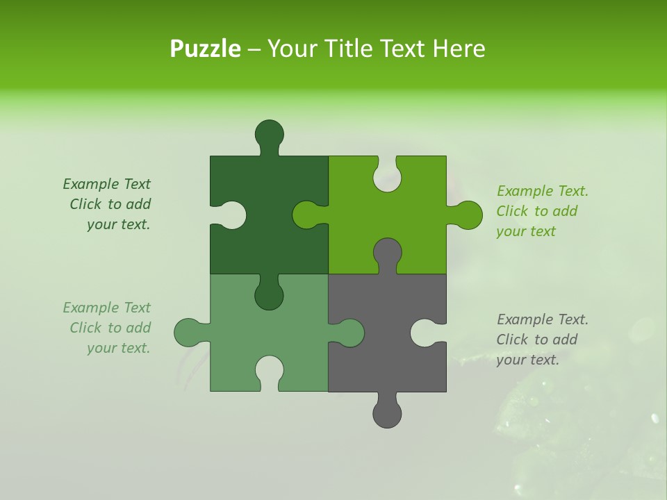 Wildlife Sawflies Animals PowerPoint Template