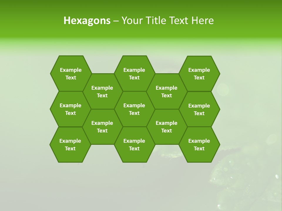 Wildlife Sawflies Animals PowerPoint Template