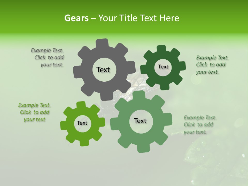 Wildlife Sawflies Animals PowerPoint Template