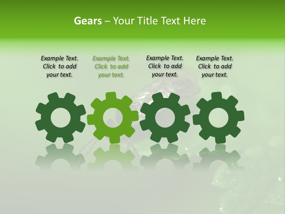 Wildlife Sawflies Animals PowerPoint Template