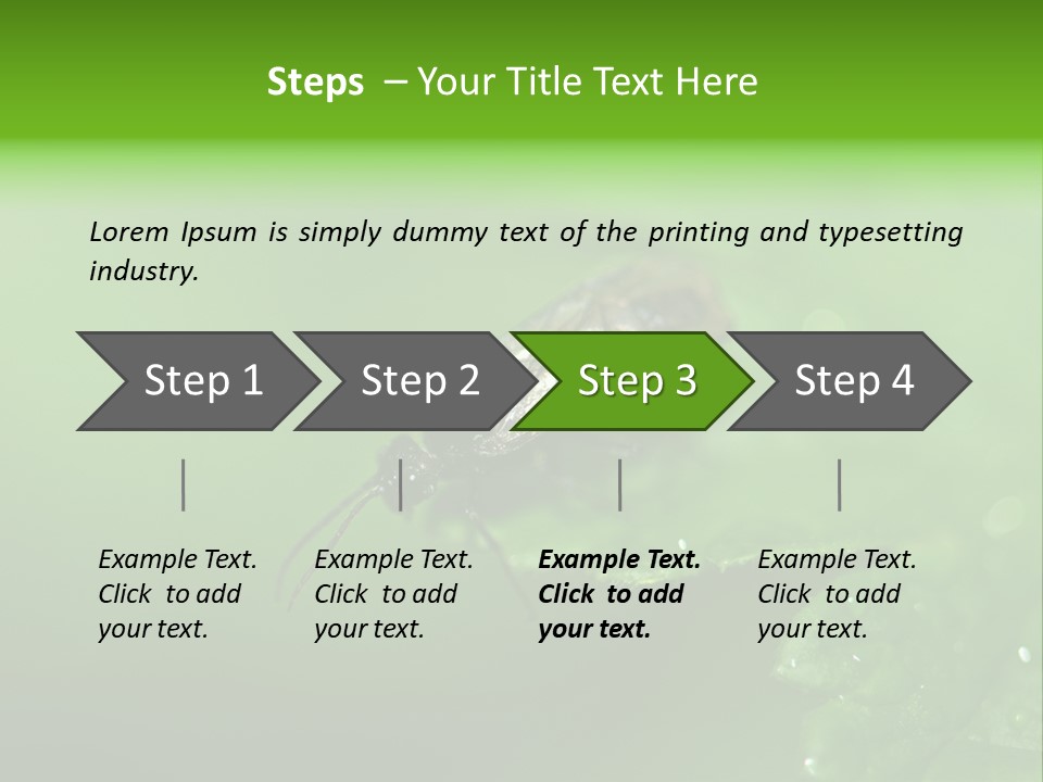 Wildlife Sawflies Animals PowerPoint Template