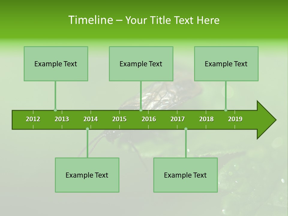Wildlife Sawflies Animals PowerPoint Template
