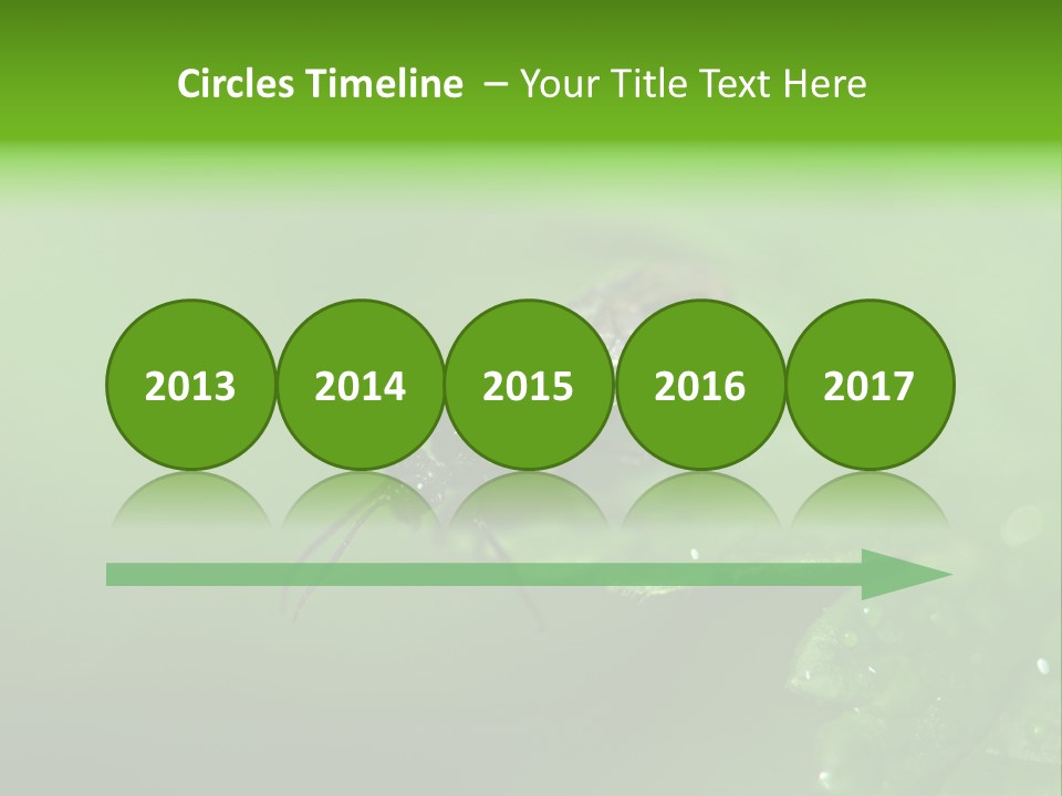 Wildlife Sawflies Animals PowerPoint Template