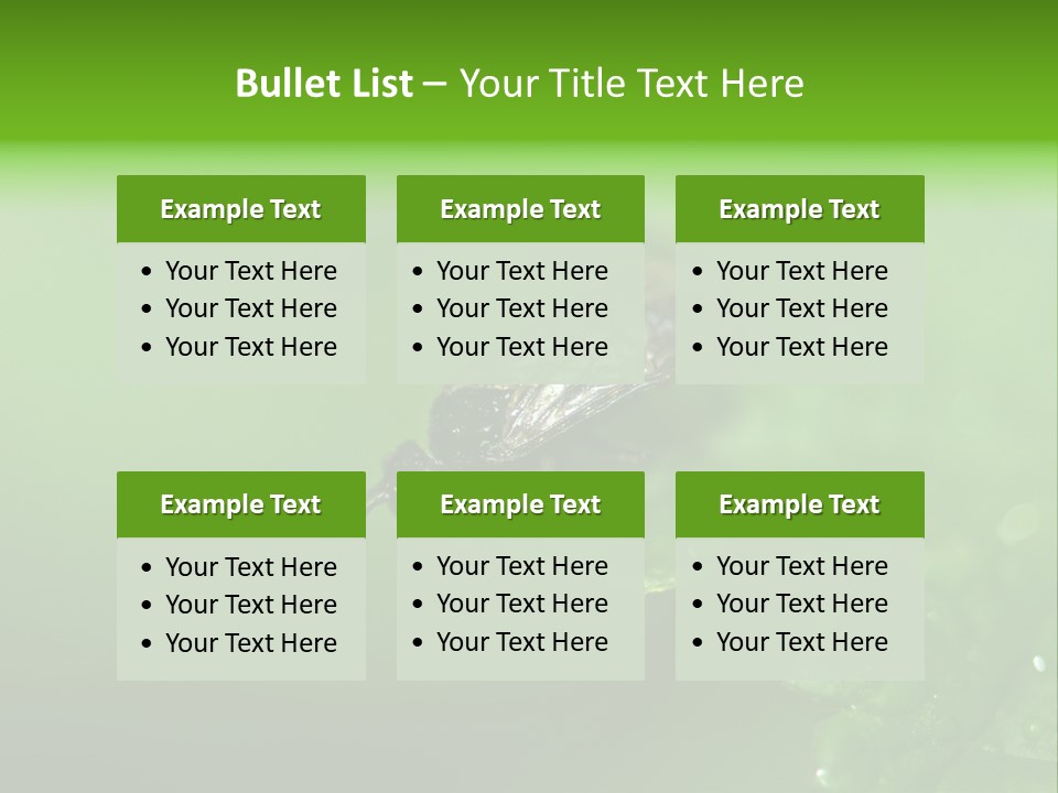 Wildlife Sawflies Animals PowerPoint Template