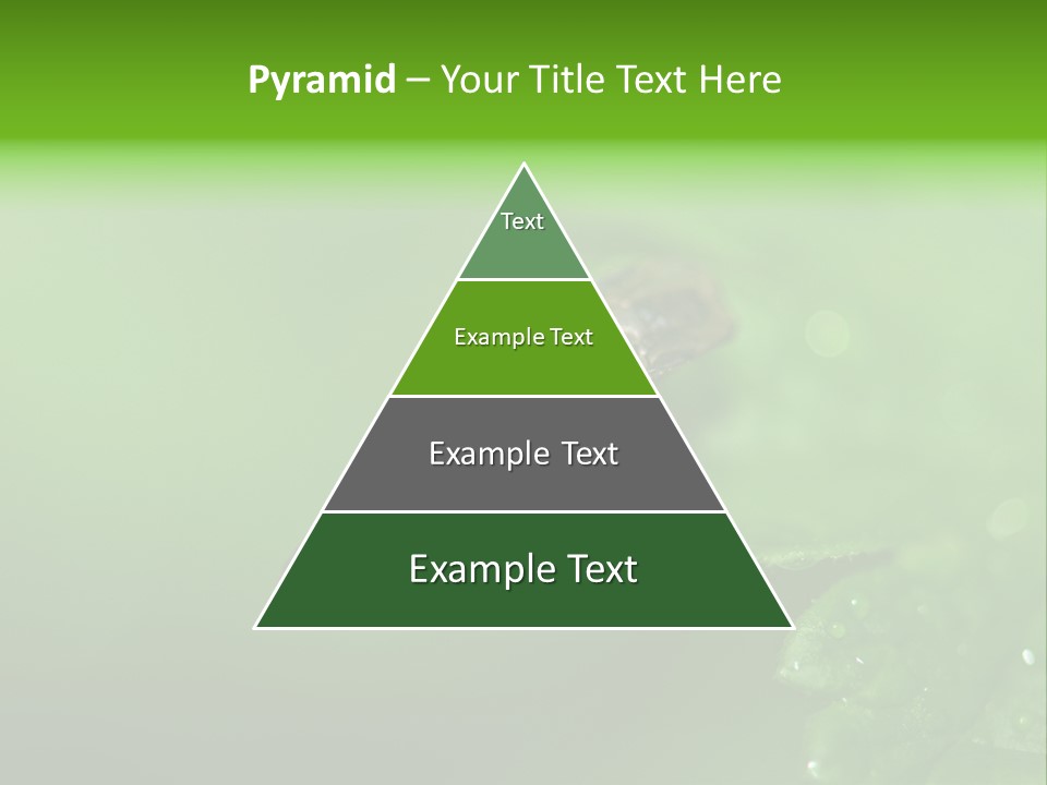 Wildlife Sawflies Animals PowerPoint Template