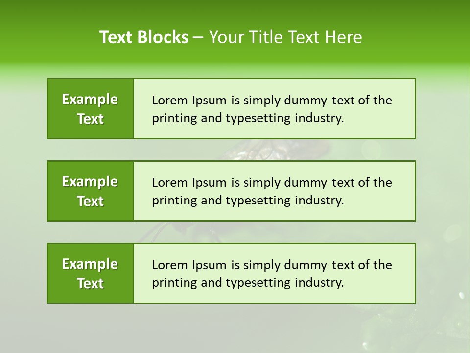 Wildlife Sawflies Animals PowerPoint Template