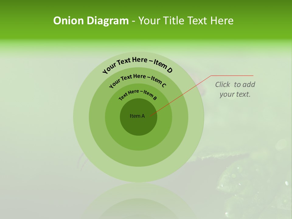 Wildlife Sawflies Animals PowerPoint Template