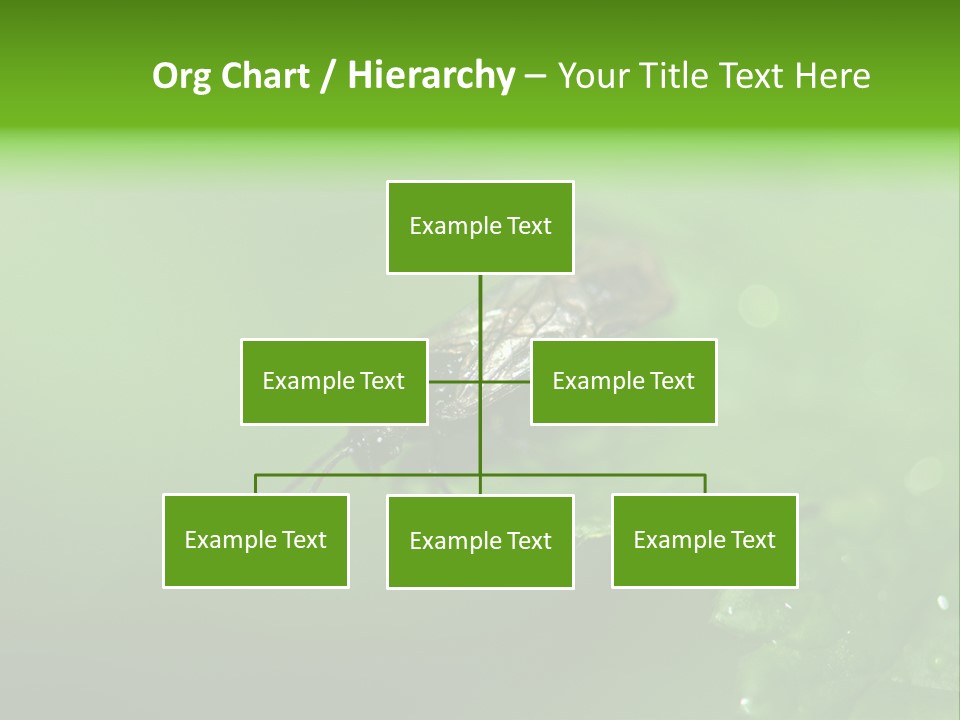 Wildlife Sawflies Animals PowerPoint Template