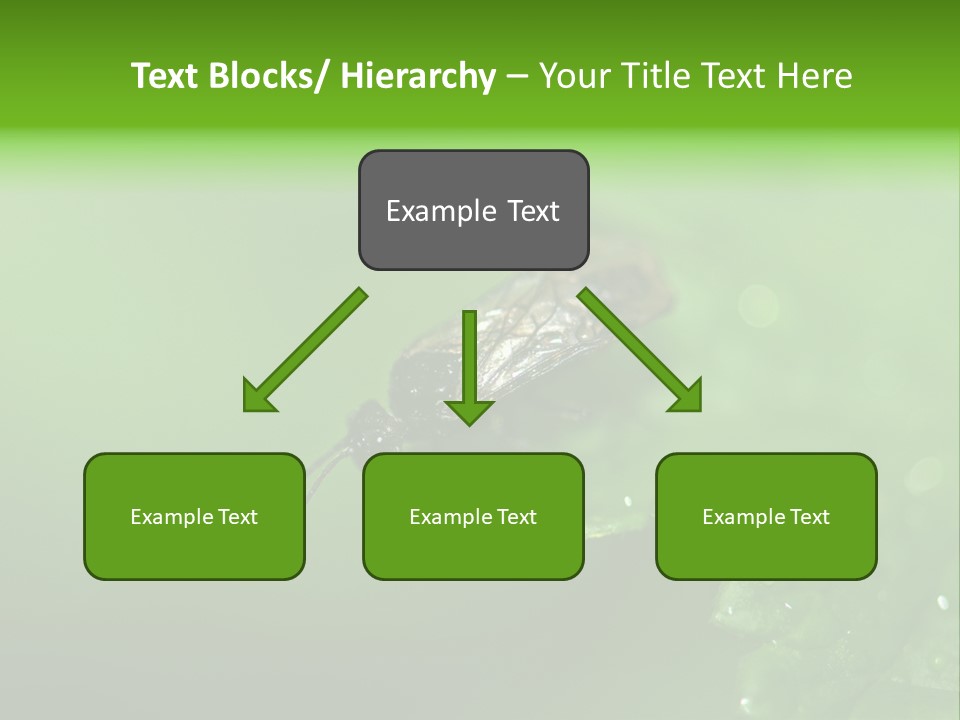 Wildlife Sawflies Animals PowerPoint Template