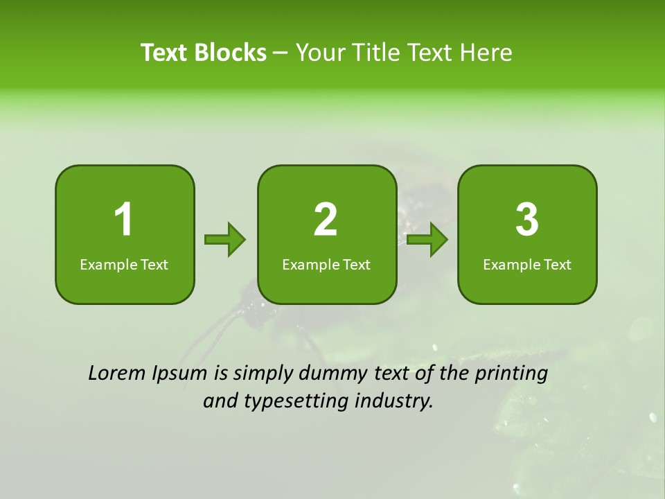 Wildlife Sawflies Animals PowerPoint Template