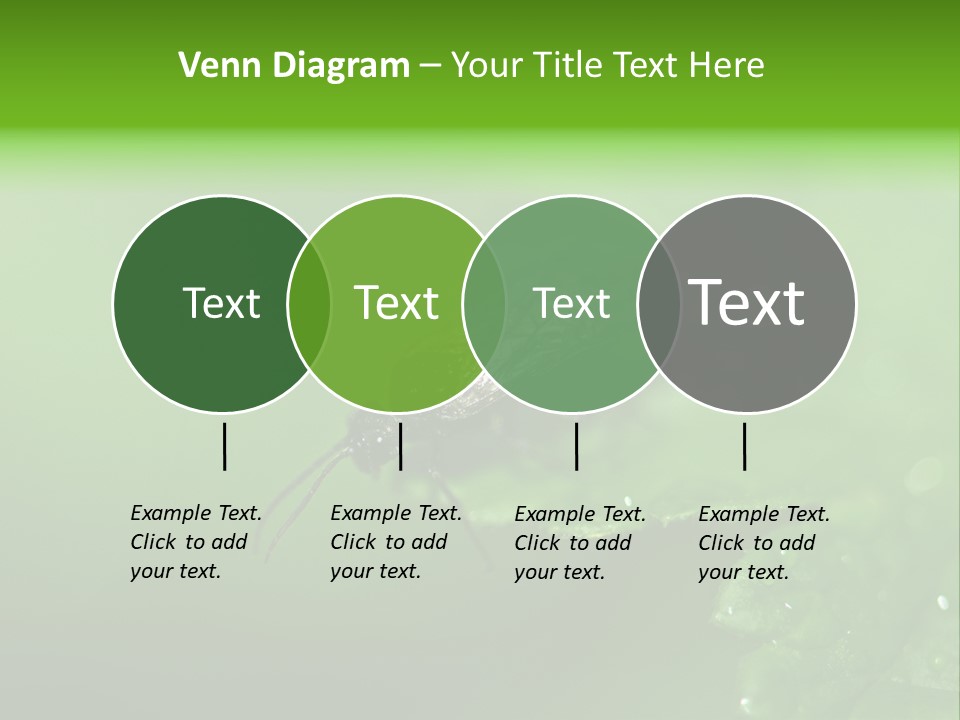 Wildlife Sawflies Animals PowerPoint Template