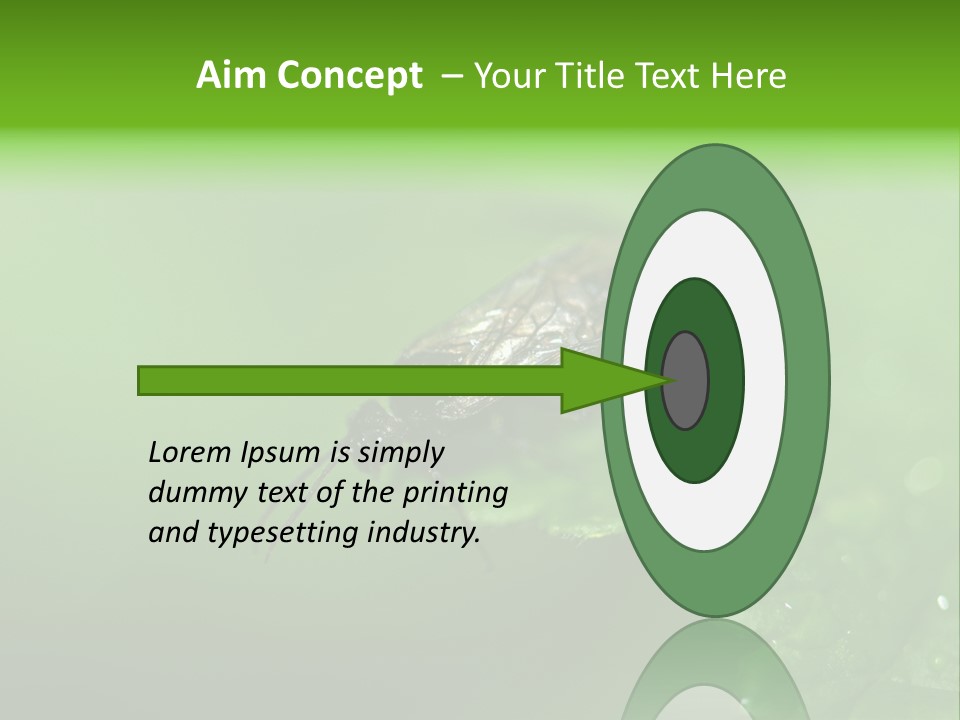 Wildlife Sawflies Animals PowerPoint Template