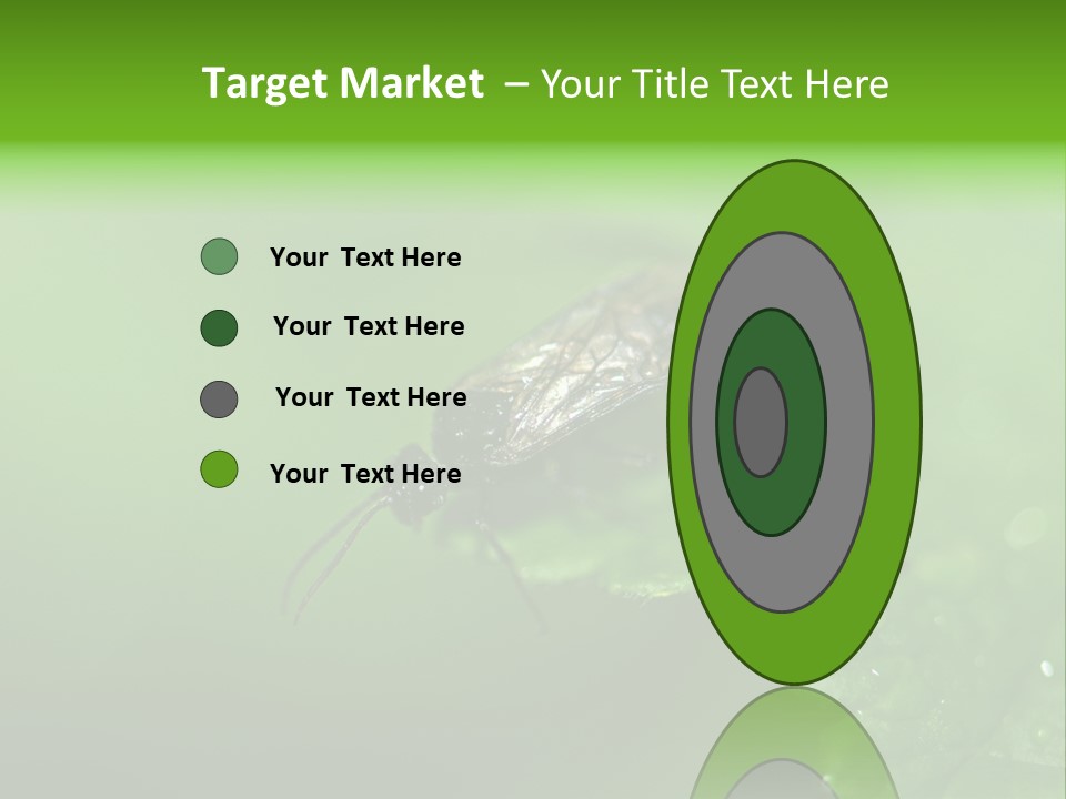 Wildlife Sawflies Animals PowerPoint Template