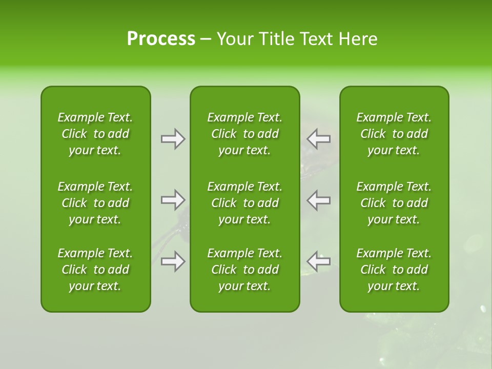 Wildlife Sawflies Animals PowerPoint Template