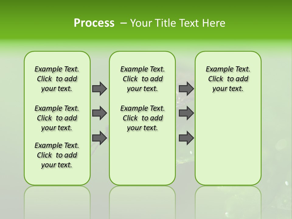 Wildlife Sawflies Animals PowerPoint Template