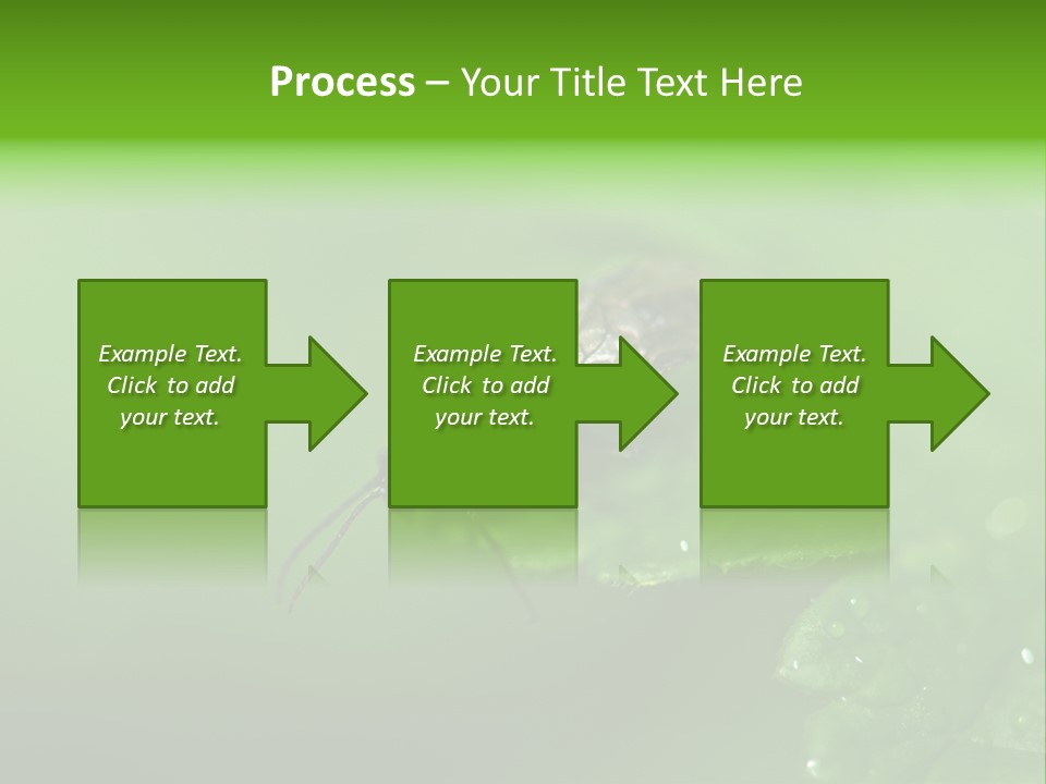 Wildlife Sawflies Animals PowerPoint Template