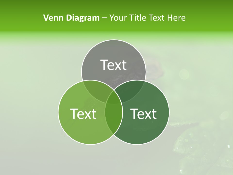 Wildlife Sawflies Animals PowerPoint Template