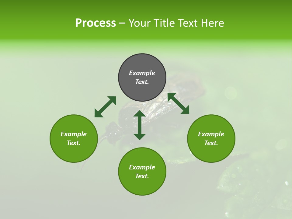 Wildlife Sawflies Animals PowerPoint Template