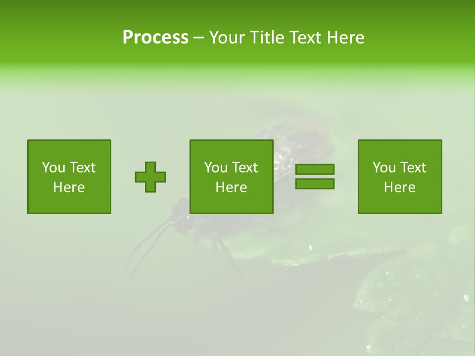 Wildlife Sawflies Animals PowerPoint Template