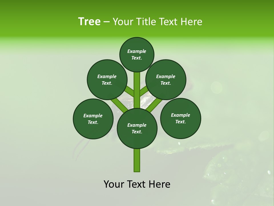 Wildlife Sawflies Animals PowerPoint Template