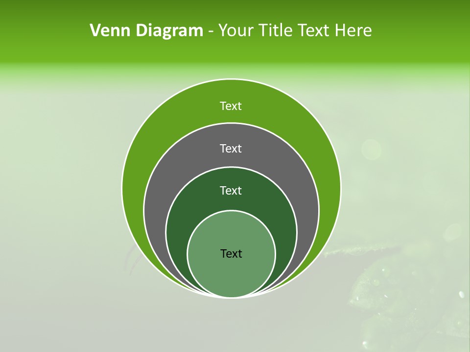 Wildlife Sawflies Animals PowerPoint Template