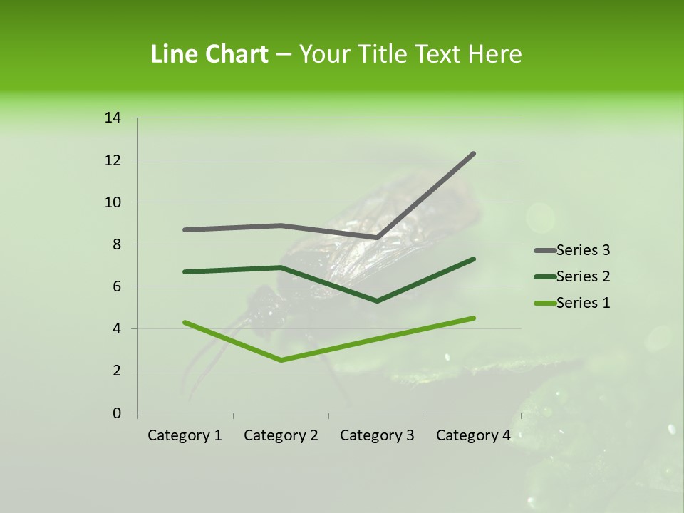 Wildlife Sawflies Animals PowerPoint Template